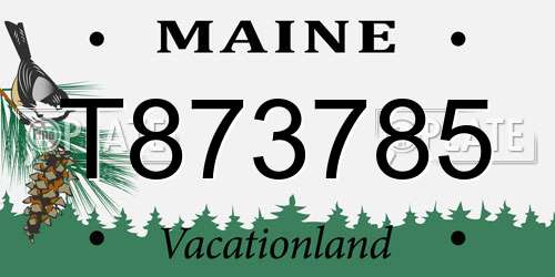 T873785 Maine License Plate