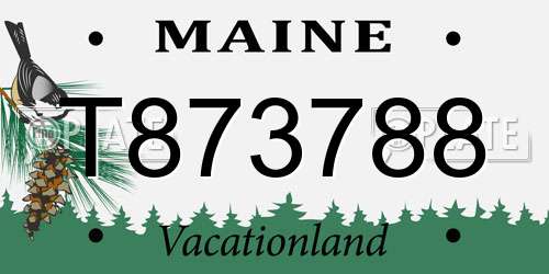 T873788 Maine License Plate