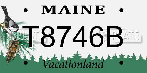 T8746B Maine License Plate