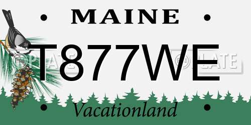 T877WE Maine License Plate