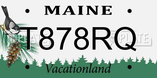 T878RQ Maine License Plate