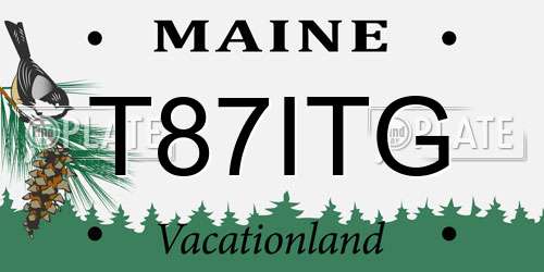 T87ITG Maine License Plate