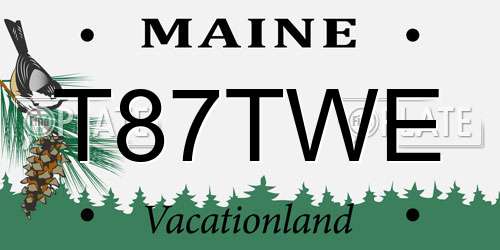 T87TWE Maine License Plate