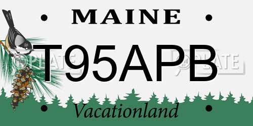 T95APB Maine License Plate