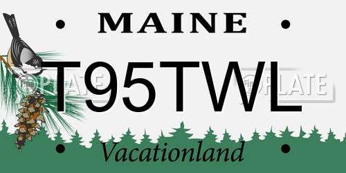 T95TWL Maine License Plate