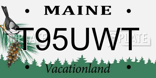T95UWT Maine License Plate