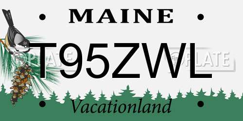 T95ZWL Maine License Plate