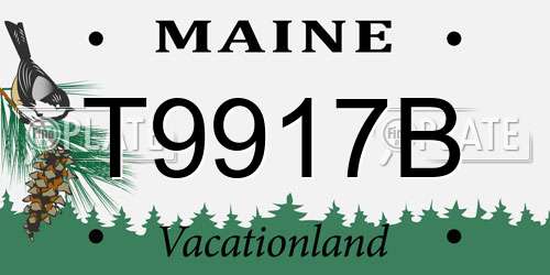 T9917B Maine License Plate