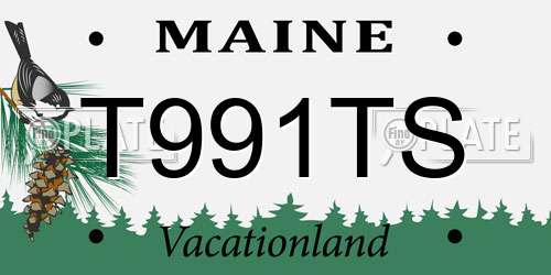 T991TS Maine License Plate