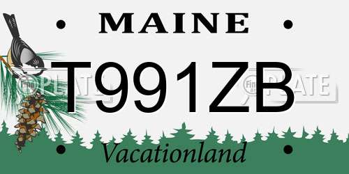 T991ZB Maine License Plate