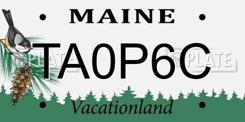 TA0P6C Maine License Plate