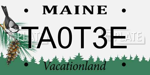 TA0T3E Maine License Plate