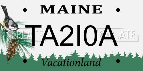 TA2I0A Maine License Plate