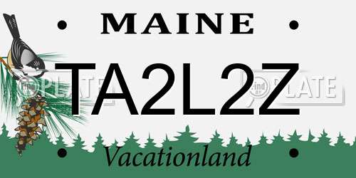 TA2L2Z Maine License Plate