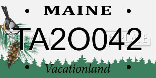 TA2O042 Maine License Plate