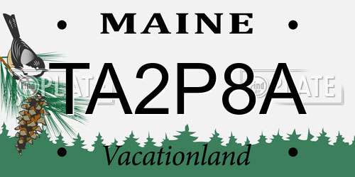 TA2P8A Maine License Plate