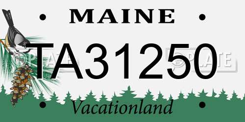 TA31250 Maine License Plate