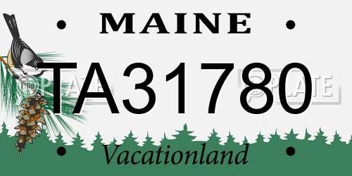 TA31780 Maine License Plate