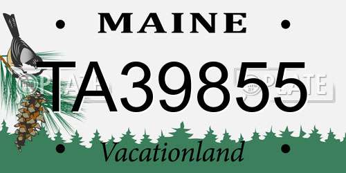 TA39855 Maine License Plate