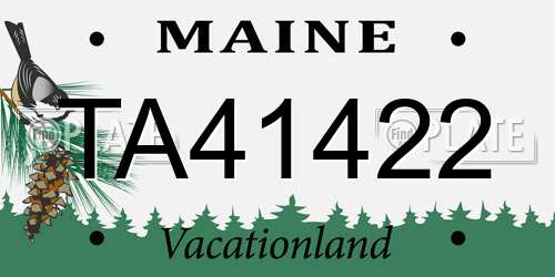 TA41422 Maine License Plate