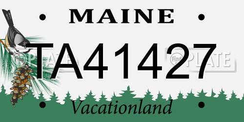 TA41427 Maine License Plate
