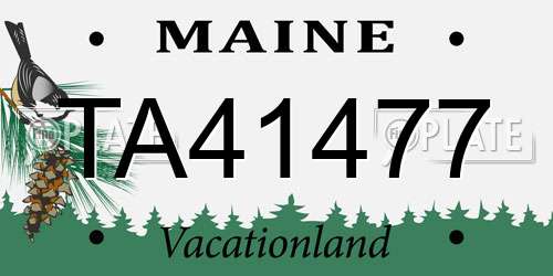 TA41477 Maine License Plate