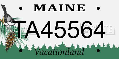 TA45564 Maine License Plate