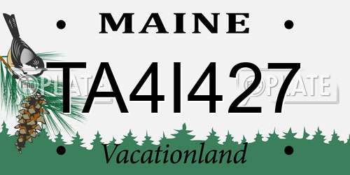 TA4I427 Maine License Plate