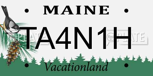 TA4N1H Maine License Plate