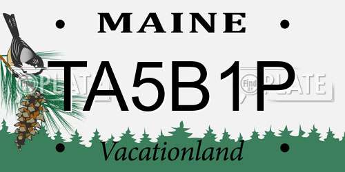 TA5B1P Maine License Plate