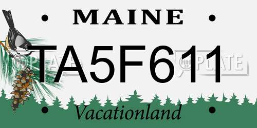 TA5F611 Maine License Plate