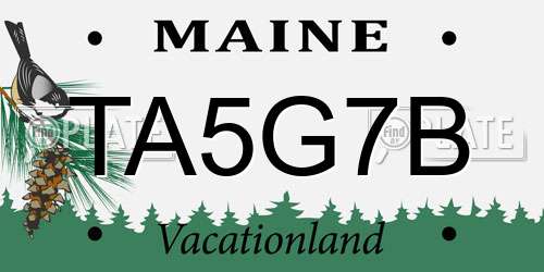 TA5G7B Maine License Plate