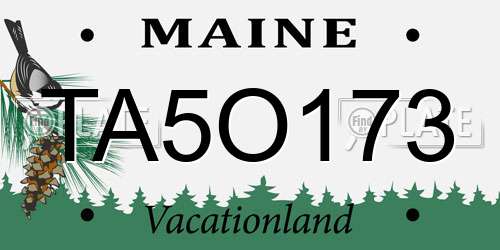 TA5O173 Maine License Plate
