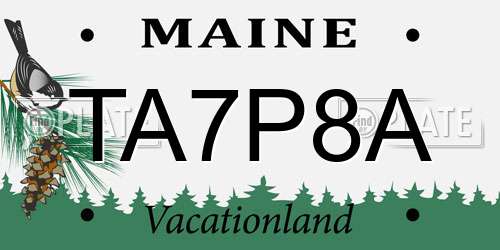TA7P8A Maine License Plate