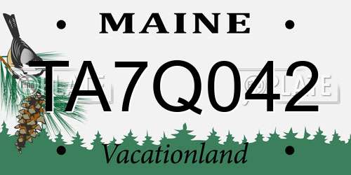 TA7Q042 Maine License Plate