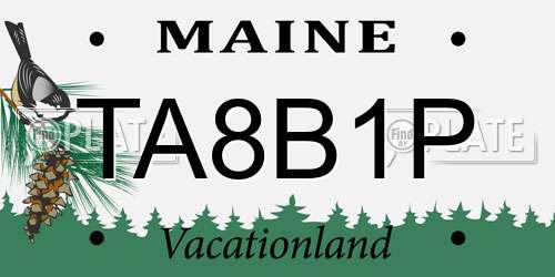 TA8B1P Maine License Plate
