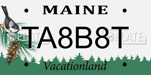 TA8B8T Maine License Plate