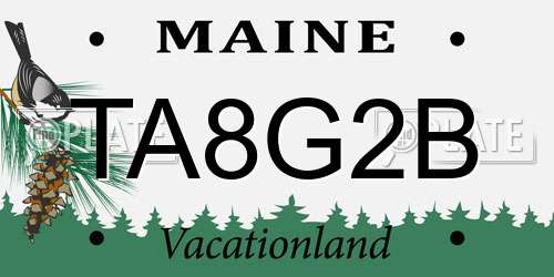TA8G2B Maine License Plate