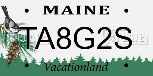 TA8G2S Maine License Plate