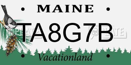 TA8G7B Maine License Plate