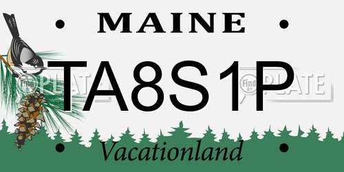 TA8S1P Maine License Plate