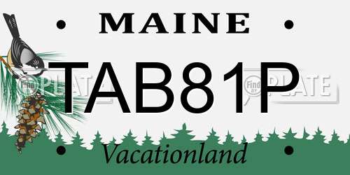 TAB81P Maine License Plate