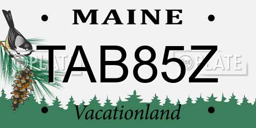TAB85Z Maine License Plate