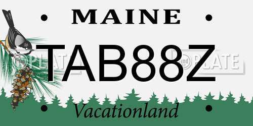 TAB88Z Maine License Plate