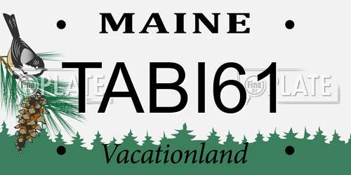 TABI61 Maine License Plate