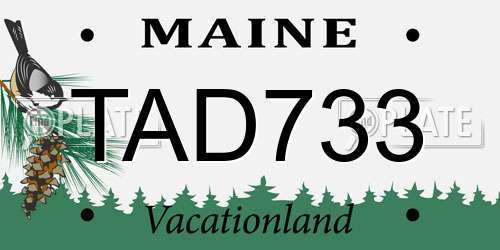 TAD733 Maine License Plate