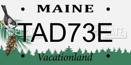 TAD73E Maine License Plate