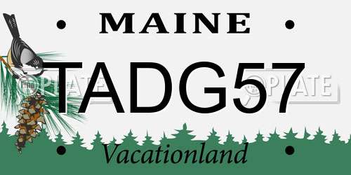 TADG57 Maine License Plate