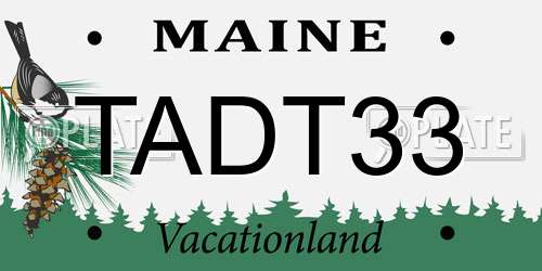 TADT33 Maine License Plate