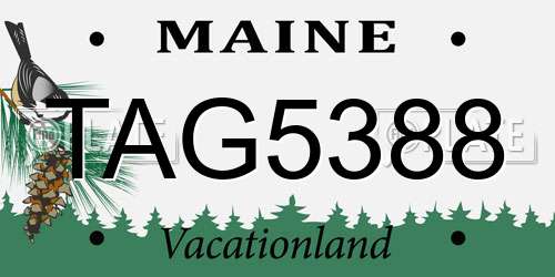TAG5388 Maine License Plate